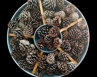 25 Small Pine Cones - real pine cones - 2-3 inch - 25 count - crafting or decorating cones - bulk pine cones