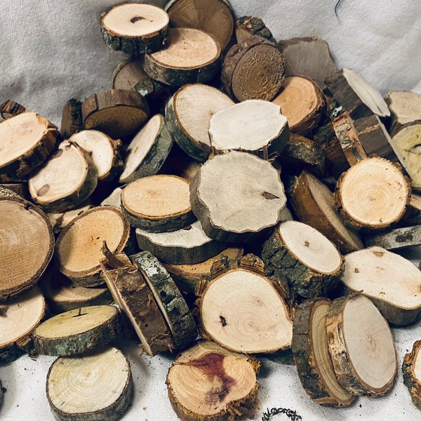 Mini wood slices - 1 1/2 inches- assorted types  - rustic decor- vase filler - tree slice crafts