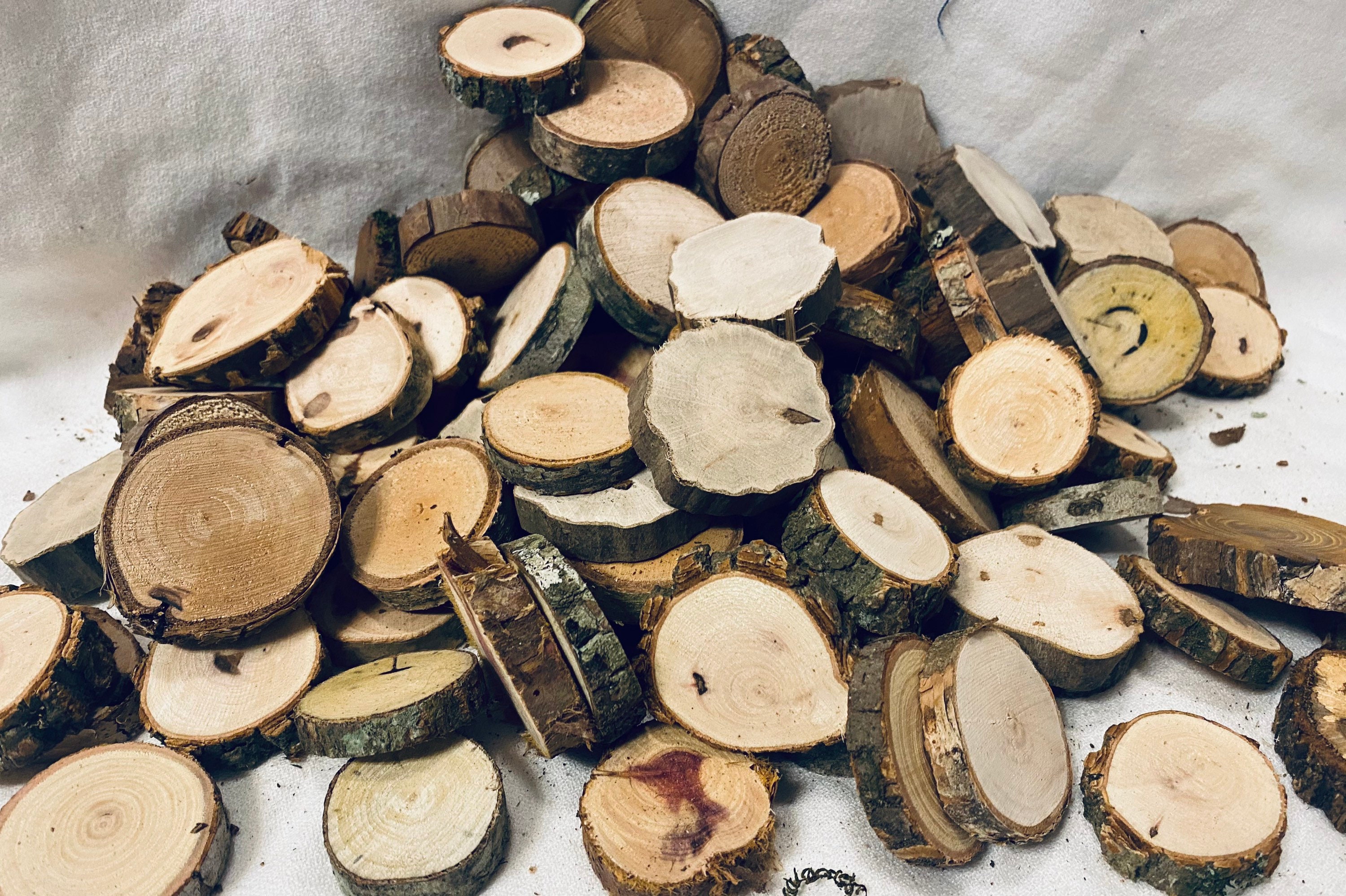 Tree Slices 12 Ct, Mini Wooden Circles 1.25 2.25 In, Small Wood Slices,  Bulk Wood Slices, Rustic Wooden Circles for Crafts 