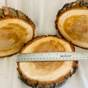 May include: Three natural wood slices, each with a different diameter, with a ruler measuring the largest slice at 6 inches.