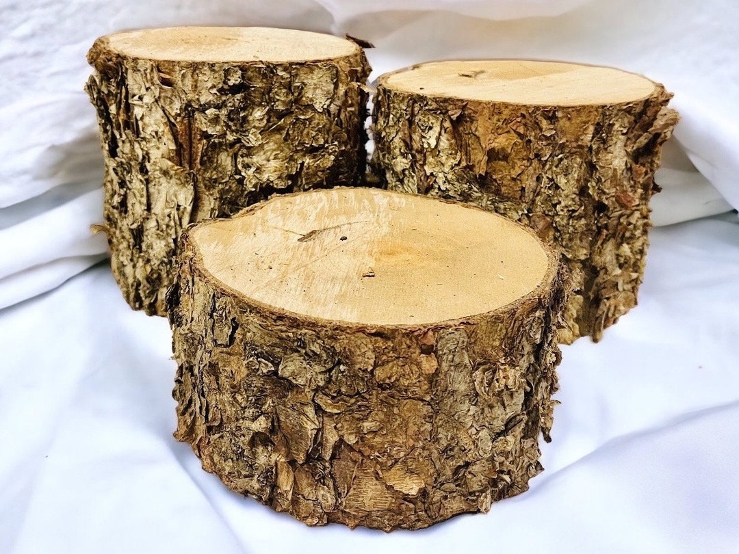 Troncos de abedul: Centro de mesa rústico para boda (juego de 3) - Etsy  México, image size:1080x810