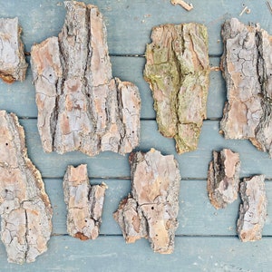 May include: A collection of bark pieces, varying in size and shape, with a natural brown and gray color. The bark has a rough texture and shows signs of weathering.