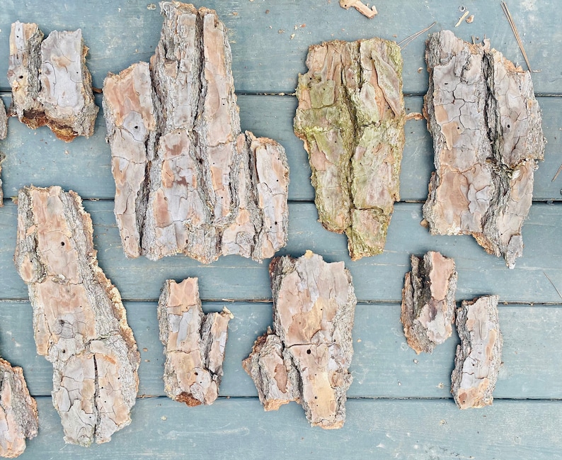 May include: A collection of bark pieces, varying in size and shape, with a natural brown and gray color. The bark has a rough texture and shows signs of weathering.