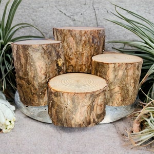 May include: Four wooden log slices stacked on top of each other, creating a tiered display. The logs are natural brown with bark and have a rough texture. The logs are arranged on a gray surface.