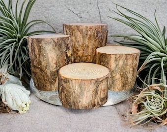 Pine Log Stumps - Set of 4 - Christmas Pine Wood Decorations