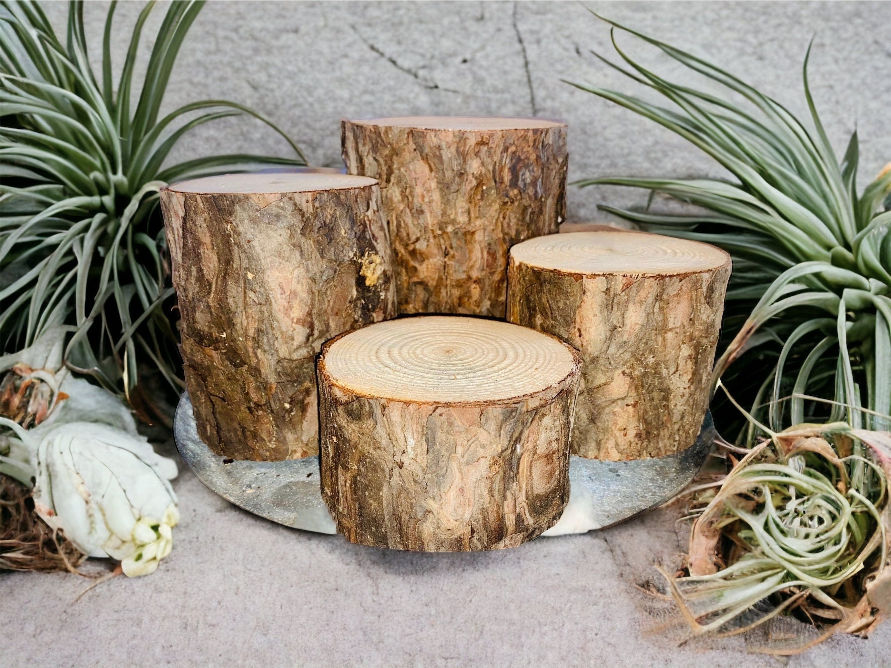 Tocones de troncos de madera rústica conjunto de 3 decoraciones de madera  rústica de 5 de diámetro boda rústica, pieza central de mesa rústica,  decoración de jardín de hadas -  México