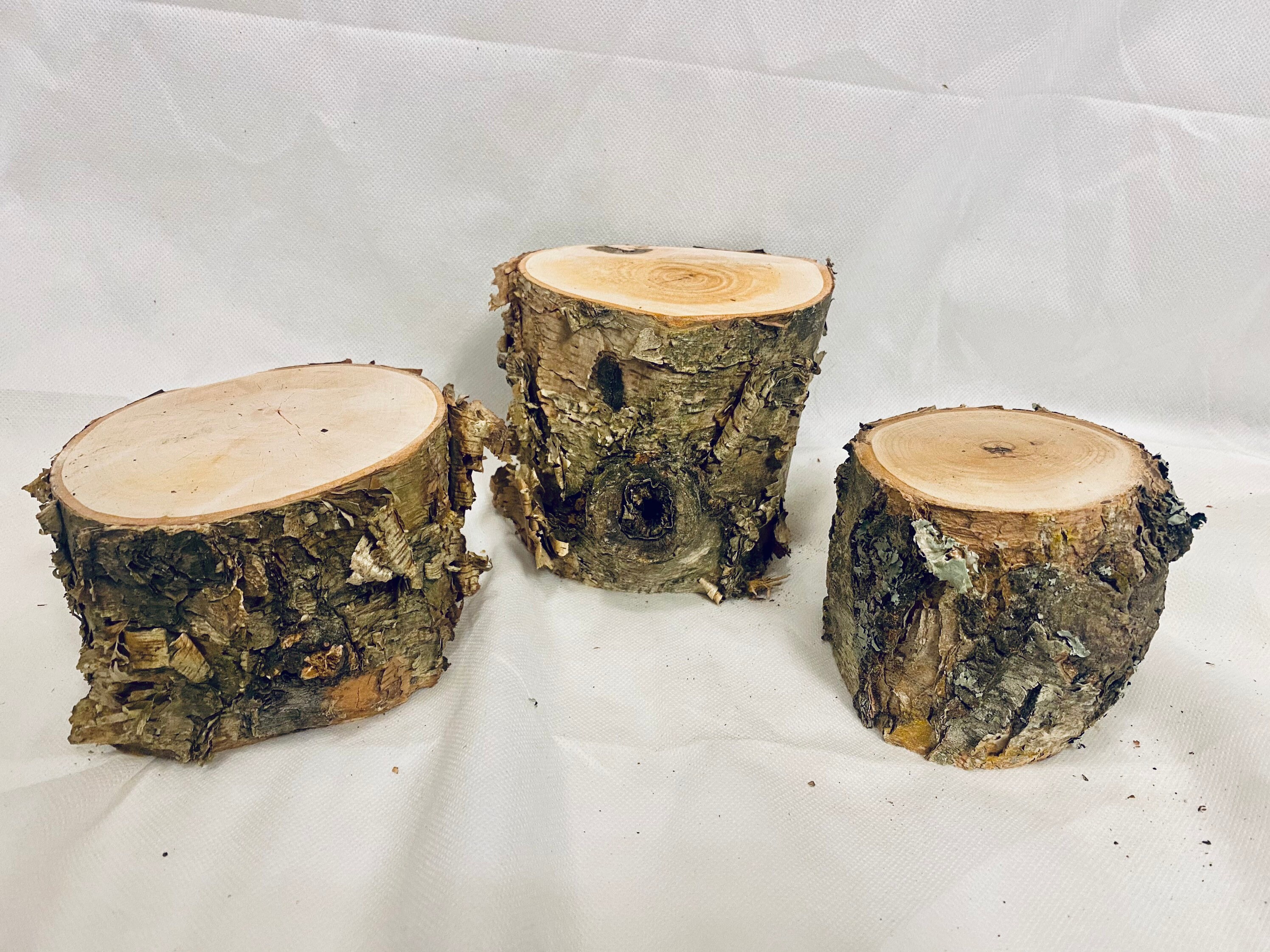 Birch Tree Stumps set of 3 Birch log stumps wedding table Etsy