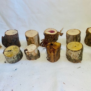 Mini tree stumps - set of 12 - assorted small wood stumps - fairy garden decor - miniature garden - crafting