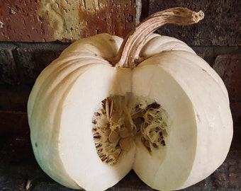 White pumpkin