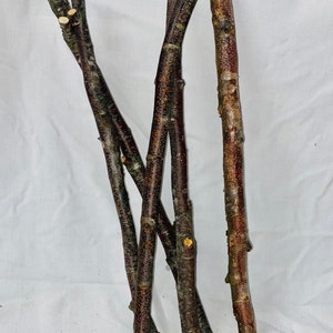 May include: Five brown sticks with a rough bark texture. The sticks are arranged in a criss-cross pattern.