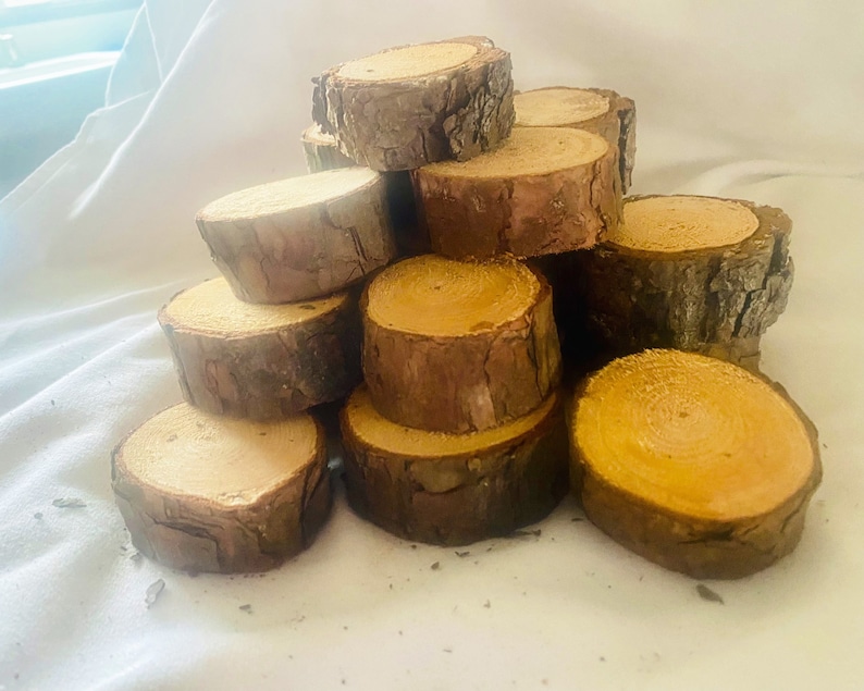 May include: A collection of small, round wooden slices with natural bark edges and light-coloured centres. The wood rounds are stacked in a haphazard arrangement, showcasing the natural grain and texture of the wood. These rustic pieces are ideal for crafts and home decor.