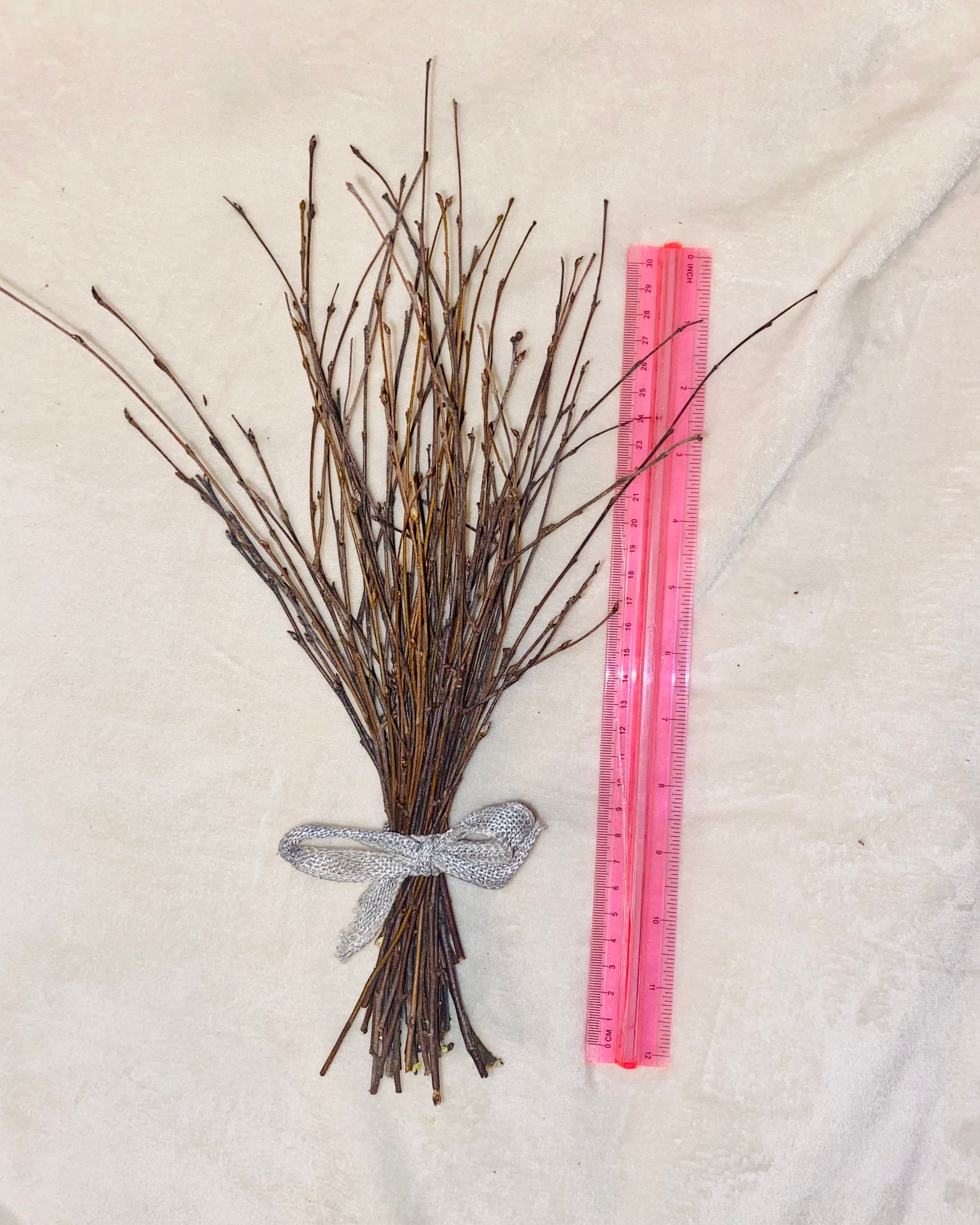 Bundle of natural thin Birch twigs 12 14 long 50 twigs Etsy