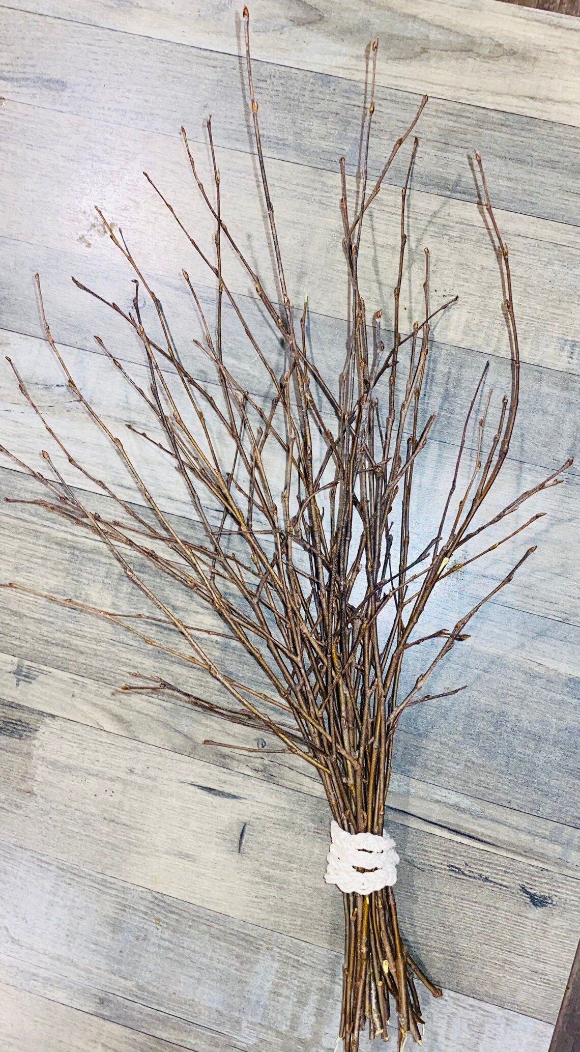 Bundle of real Birch Twig Branches 50 total 21 24 long Etsy