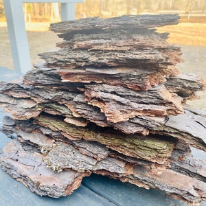 May include: A stack of thin, flat pieces of bark, arranged in a pile. The bark is a mix of brown, gray, and reddish-brown colors, with some green moss growing on it. The bark is weathered and has a rough texture.