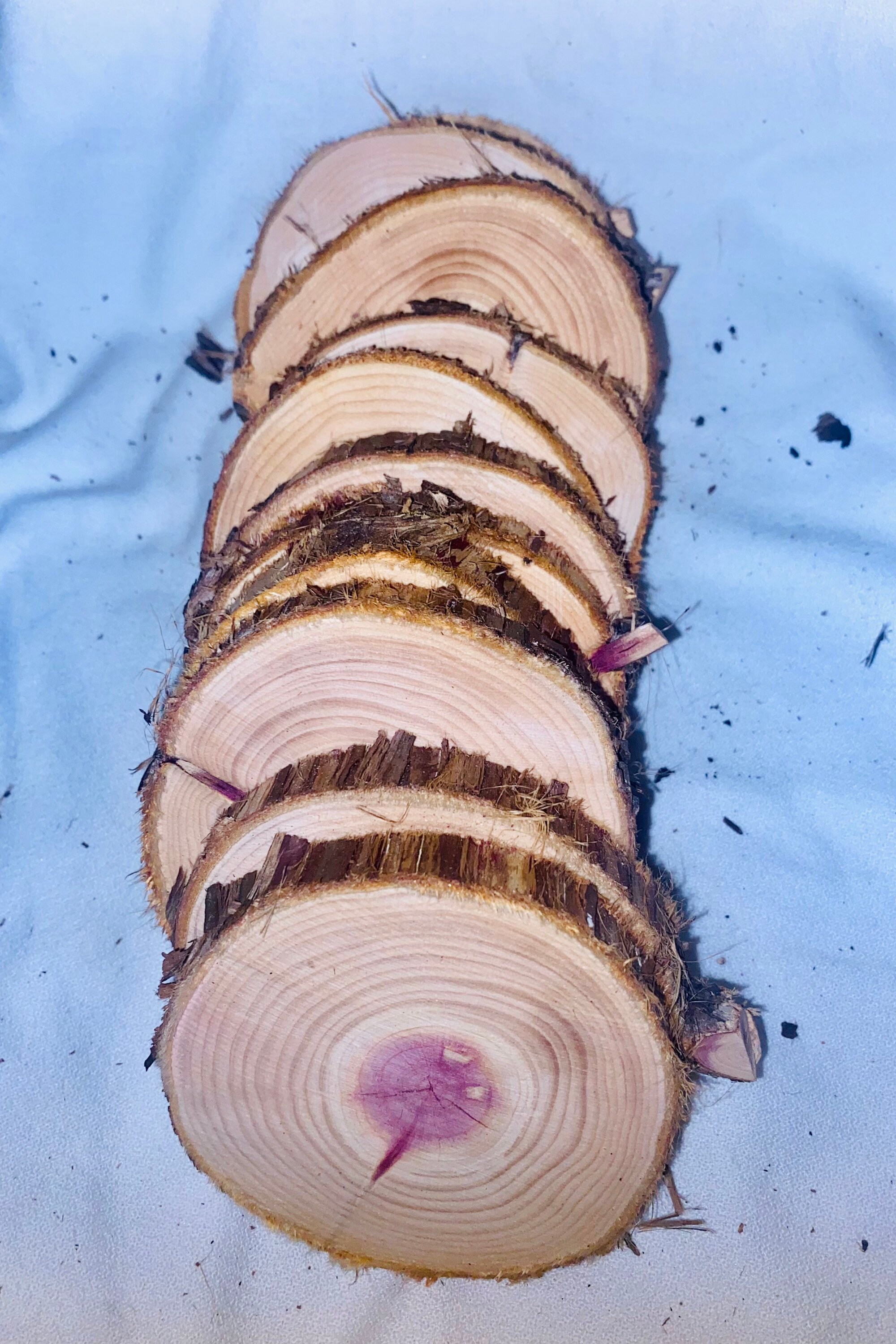 Aromatic Cedar Wood Slices: Rustic Craft Rounds, 3-4 Inch (set of 12 ...