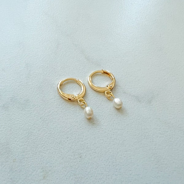 Gold Dainty White Natural Freshwater Pearl Huggie Earrings