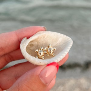 May include: Two small gold turtle earrings are displayed in a seashell. The shell is being held by a hand.