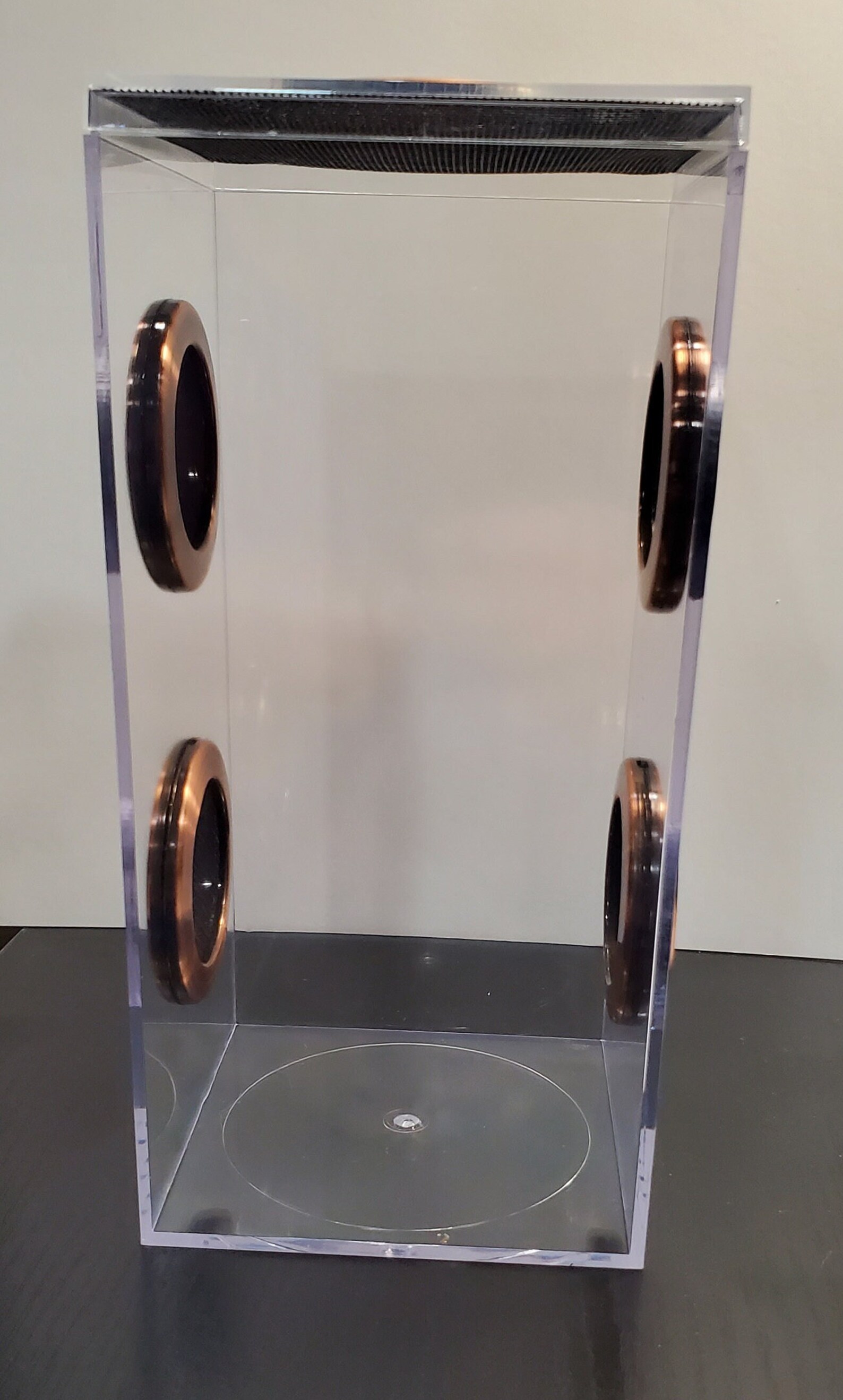 Praying Mantis Enclosure 4 X 4 X 8 With Etsy