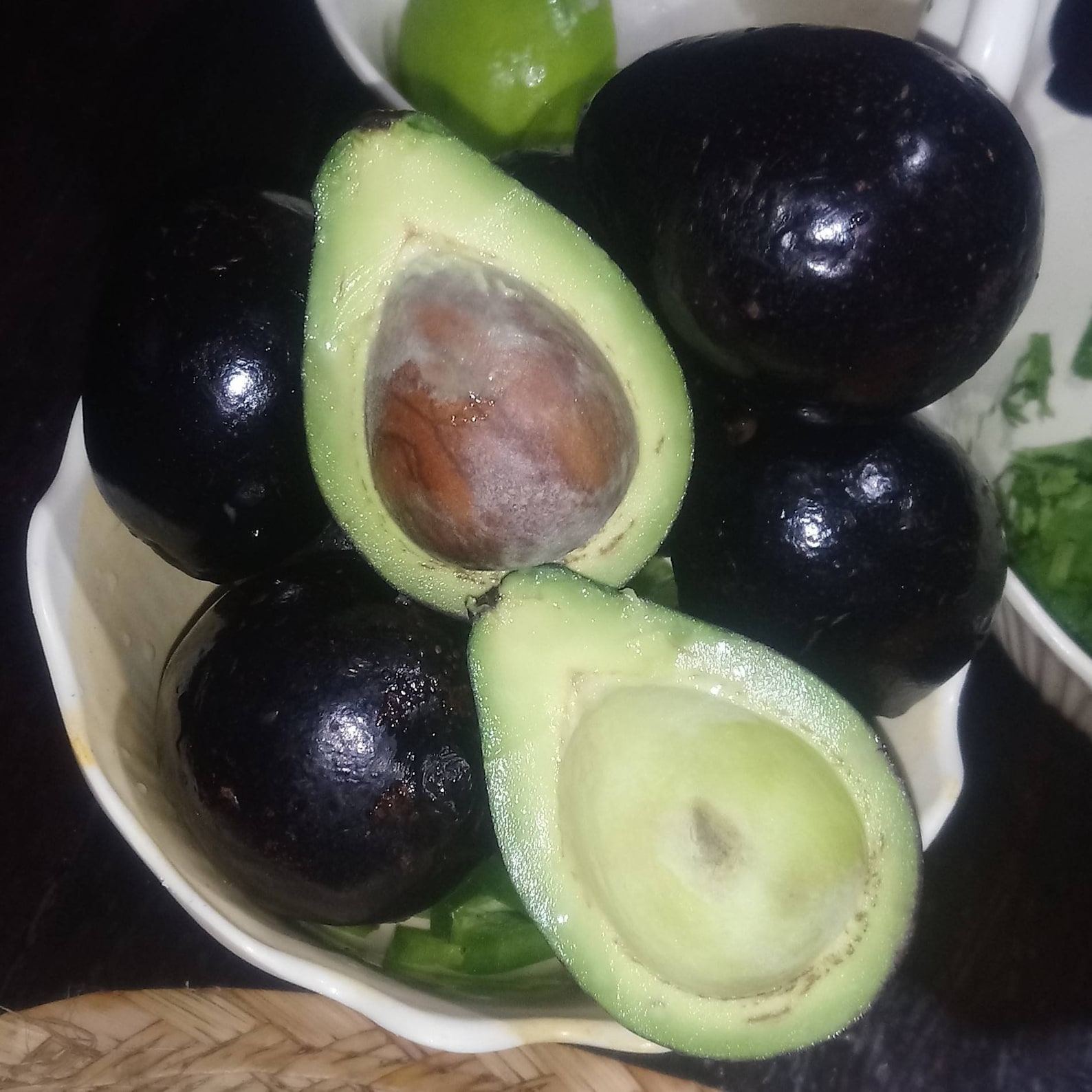 Aguacate criollo mexicano Persea drymifolia. 3 semillas para Etsy