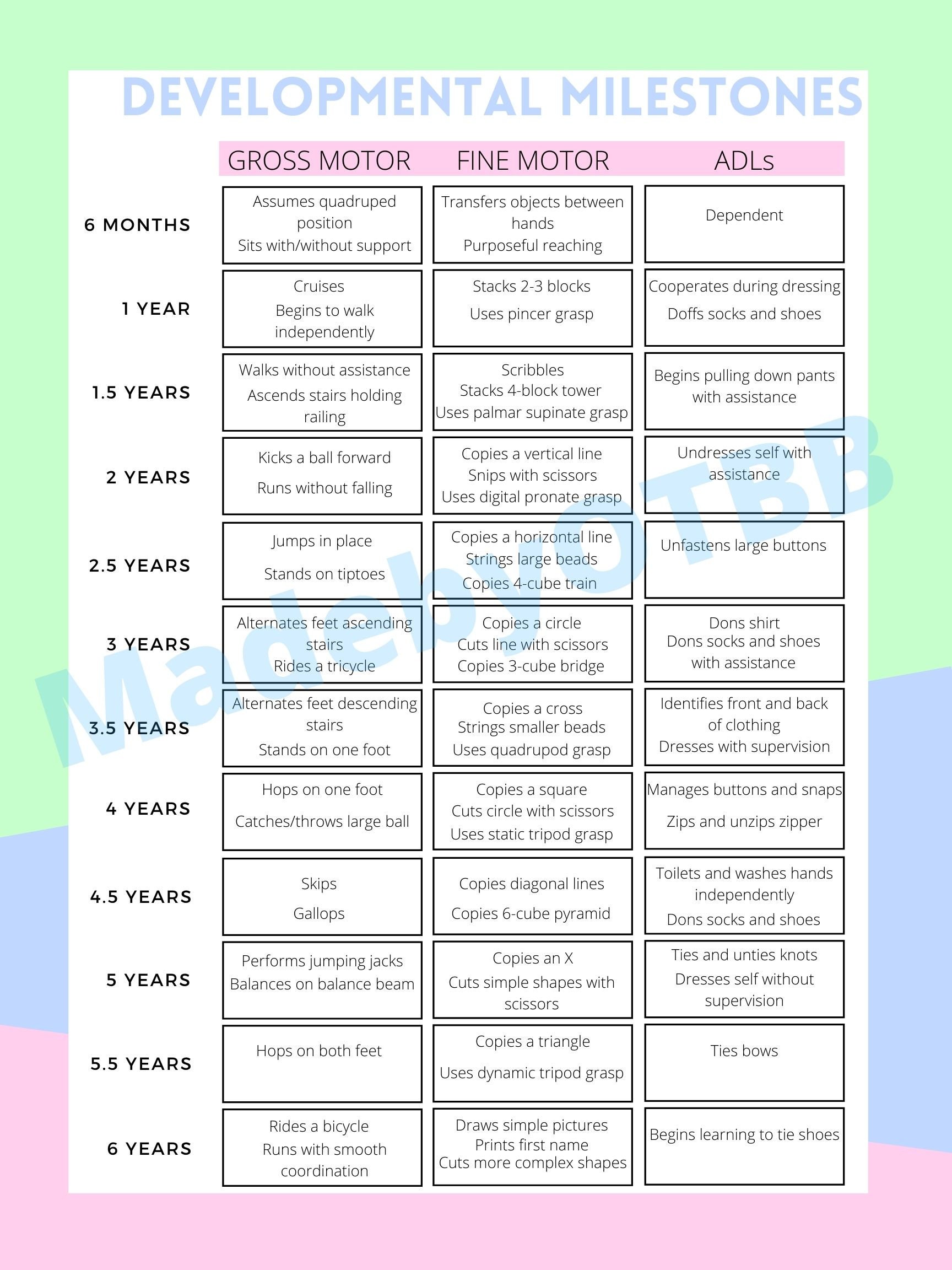 essay on developmental milestones