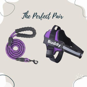 May include: Purple dog harness with a black strap and a white "Buddy" name tag, paired with a purple and black rope leash.