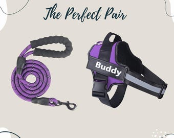 Personalized Dog Harness & Leash Set — Custom Name Patch, No-Pull, Reflective, Dog Mom Gift, XS–XXL