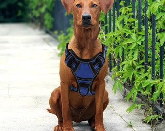 Reflective Dog Harness/ dog harness/ No pull harness/No pull dog harness/harness dog with handle/Free shipping