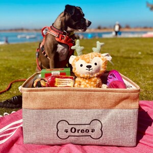 Customizable pet organizer basket with a soft, flexible design. Made from polyester and cotton, it features easy-clean surfaces and comes in various colors.