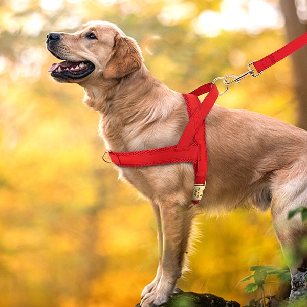 Arnés para perros personalizado de lujo con hebilla de metal dorado