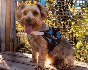 Service Dog Harness Personalized — ESA Vest Option, XS–XL, Removable Patches, Custom Name, All Breeds