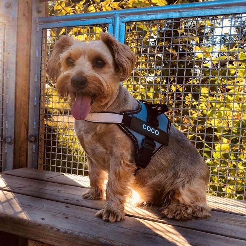 Personalized Reflective Harness for Dogs - No-Choke Design with Customizable Removable Patches.
