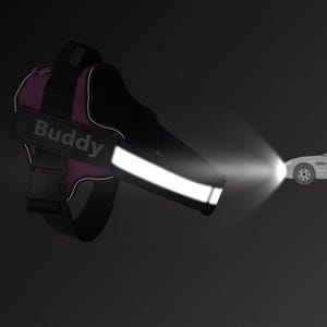 Personalized Reflective Harness for Dogs - No-Choke Design with Customizable Removable Patches.