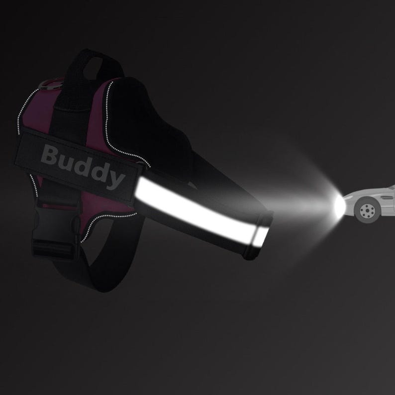 Personalized Reflective Harness for Dogs - No-Choke Design with Customizable Removable Patches.