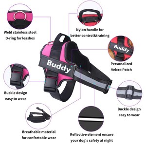 Stainless steel D-ring for leash attachment on the top of the Personalized Reflective Harness.