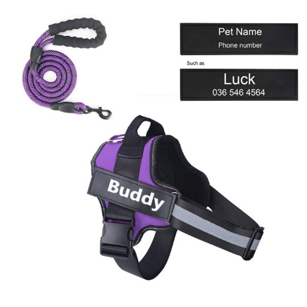 Personalized Dog Harness and Leash Set, Customize Removable Dog Harness