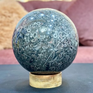 127mm Rare Fossil Sphere, Crinoid Sphere, Orthoceras Sphere, Gastropod Sphere, Stone Crystal Sphere