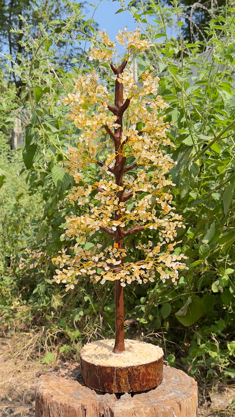 May include: A crystal tree made of small, clear, and light brown crystals. The tree is on a wooden base and is surrounded by green foliage.