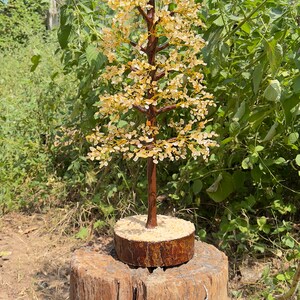 May include: A crystal tree made of clear and amber colored stones, with a brown wooden base. The tree is sitting on a wooden stump.