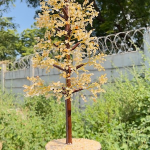 May include: A crystal tree made of clear and amber colored stones, with a brown wooden base. The tree is about 12 inches tall and is displayed on a hand.