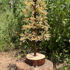 May include: A crystal tree made of clear and amber colored stones, with a brown wooden base. The tree is sitting on a weathered wooden stump.