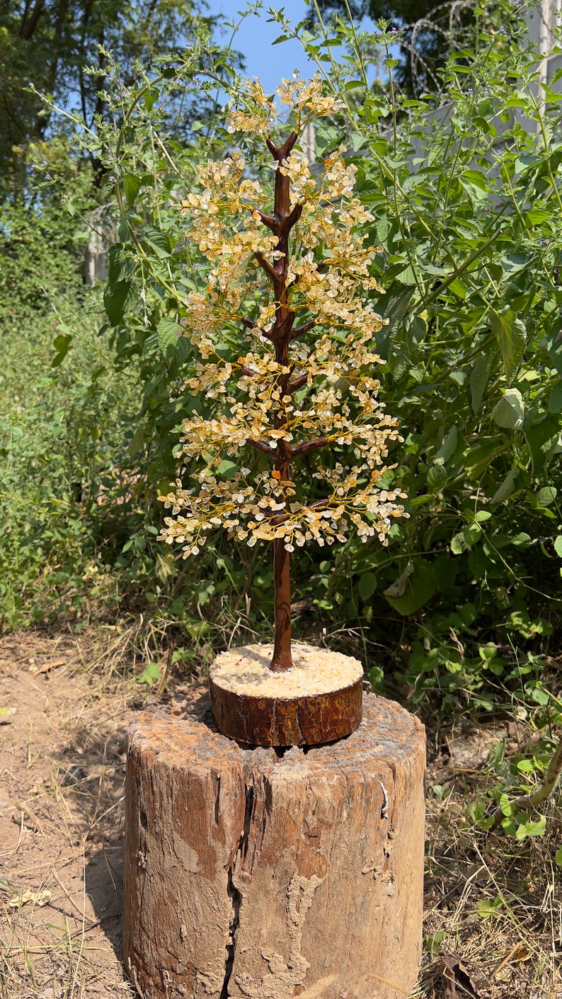 May include: A crystal tree made of clear and amber colored stones, with a brown wooden base. The tree is sitting on a weathered wooden stump.