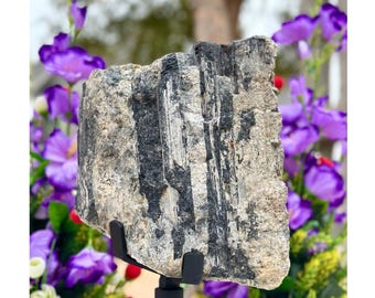 Exhibición de cristal de turmalina negra en bruto / Piedra de protección natural, muestra de energía de conexión a tierra