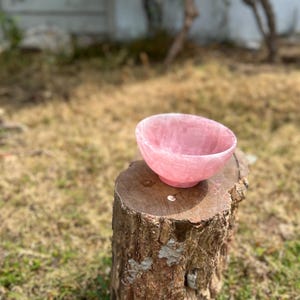 May include: A pink, oval-shaped bowl made of a translucent material, possibly stone or crystal. The bowl sits on a weathered tree stump, with a blurred background of grass and foliage.