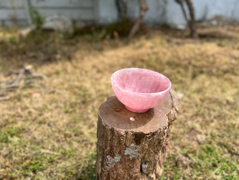 May include: A pink, oval-shaped bowl made of a translucent material, possibly stone or crystal. The bowl sits on a weathered tree stump, with a blurred background of grass and foliage.