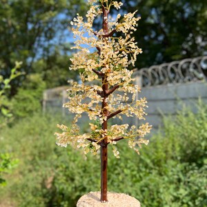 May include: A crystal tree made of clear quartz crystals on a brown wooden base. The tree is about 12 inches tall and has a natural, organic look.