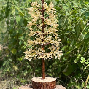 May include: A crystal tree with clear quartz crystals on a brown wooden base. The tree is sitting on a wooden stump.