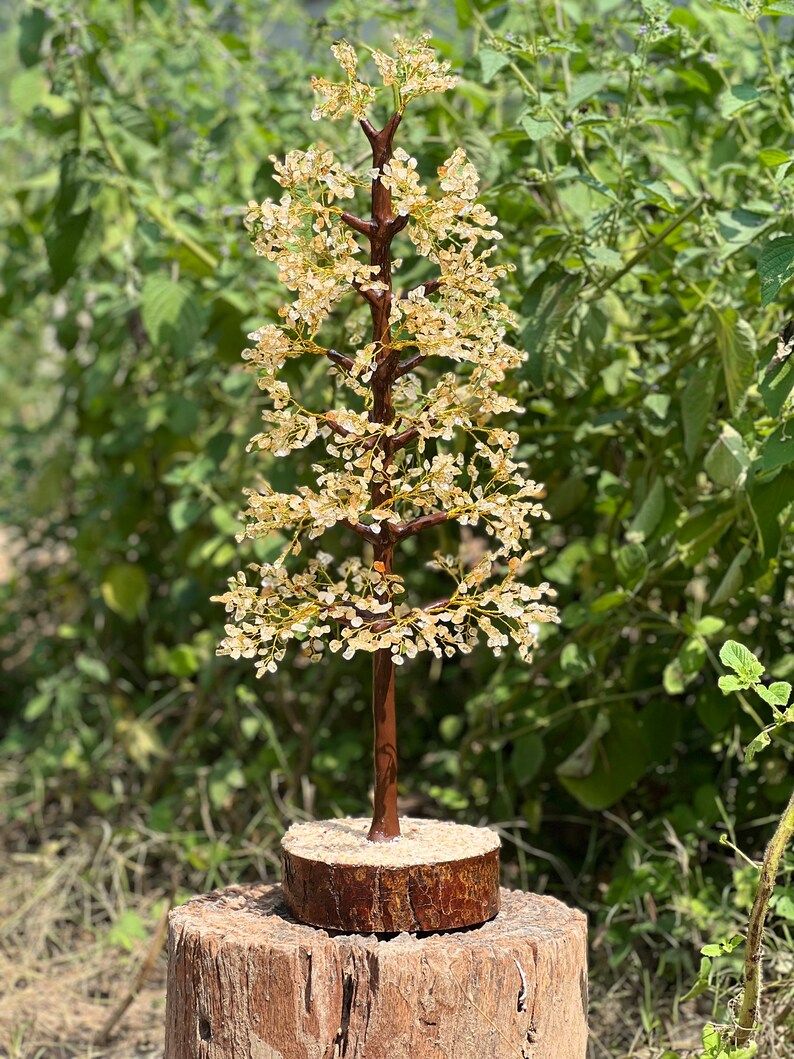 May include: A crystal tree with clear quartz crystals on a brown wooden base. The tree is sitting on a wooden stump.