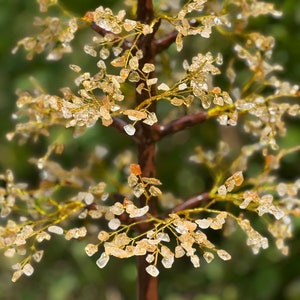 May include: A crystal tree with a brown trunk and gold wire branches. The branches are adorned with small, clear quartz crystals.