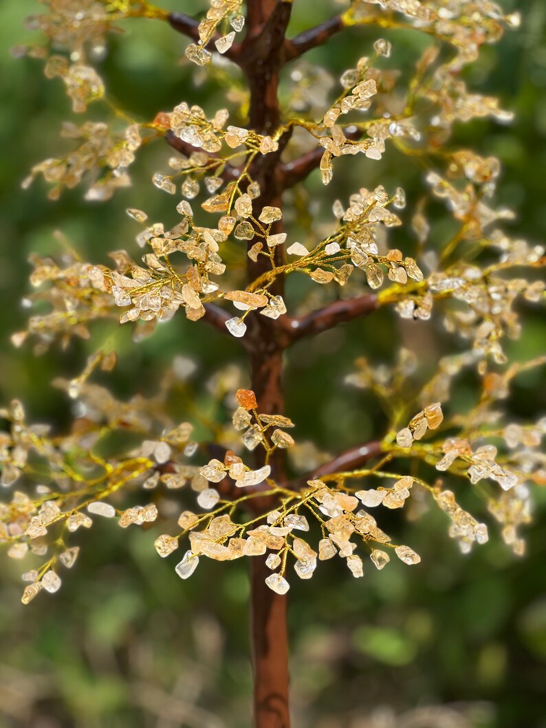 May include: A crystal tree with a brown trunk and gold wire branches. The branches are adorned with small, clear quartz crystals.