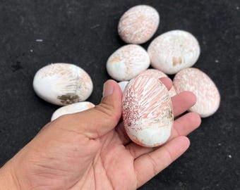 Kamień palmowy Peach Scolecite | Czakra serca, uzdrawianie emocjonalne, kryształ medytacyjny